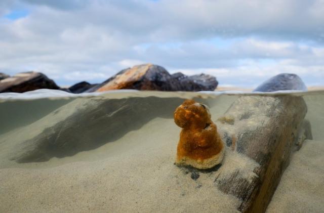 The wooden structures do not reveal much about their origins (Picture: Cornwall Live/BPM Media)